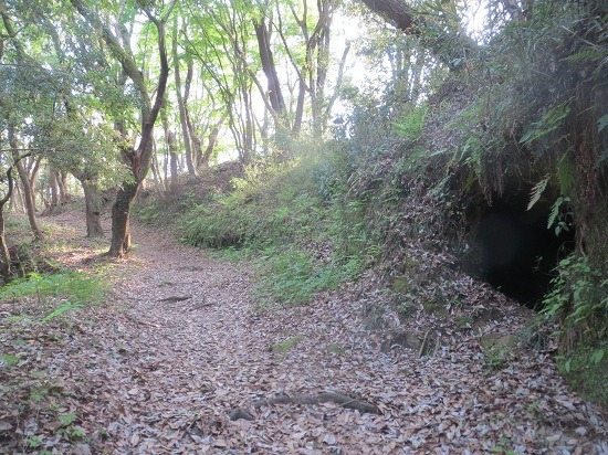 18洞穴