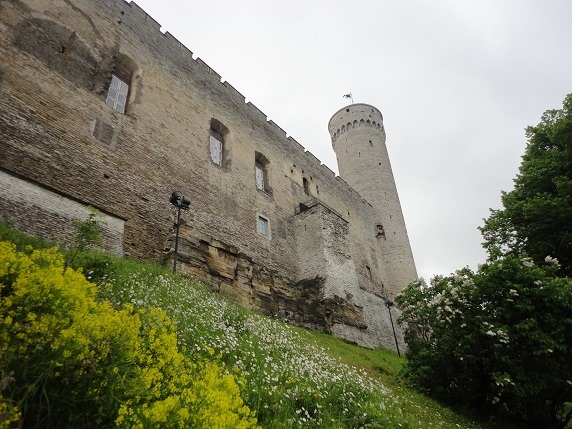 西面の城壁とのっぽのヘルマン塔