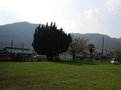 播磨　苔縄城（上郡町）